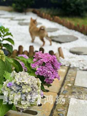 城市里的慢生活天花板：園林小院，把日子過成治愈系電影